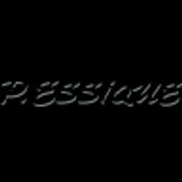 Logo de Entreprise P. Essique